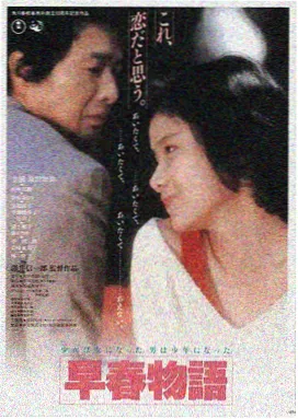 小姐完整版导演剪辑海报
