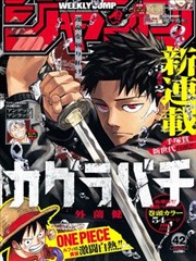 小姐完整版4K修复版海报